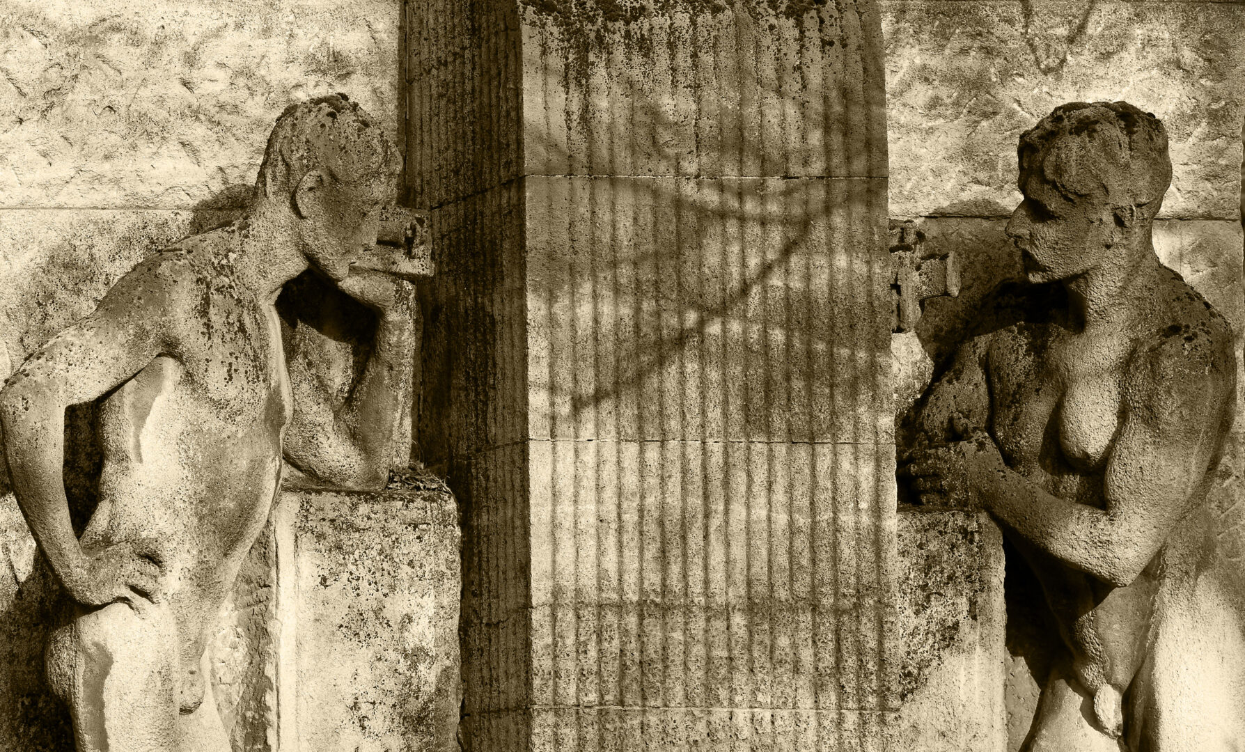 CORAZÓN - DSC07888 01